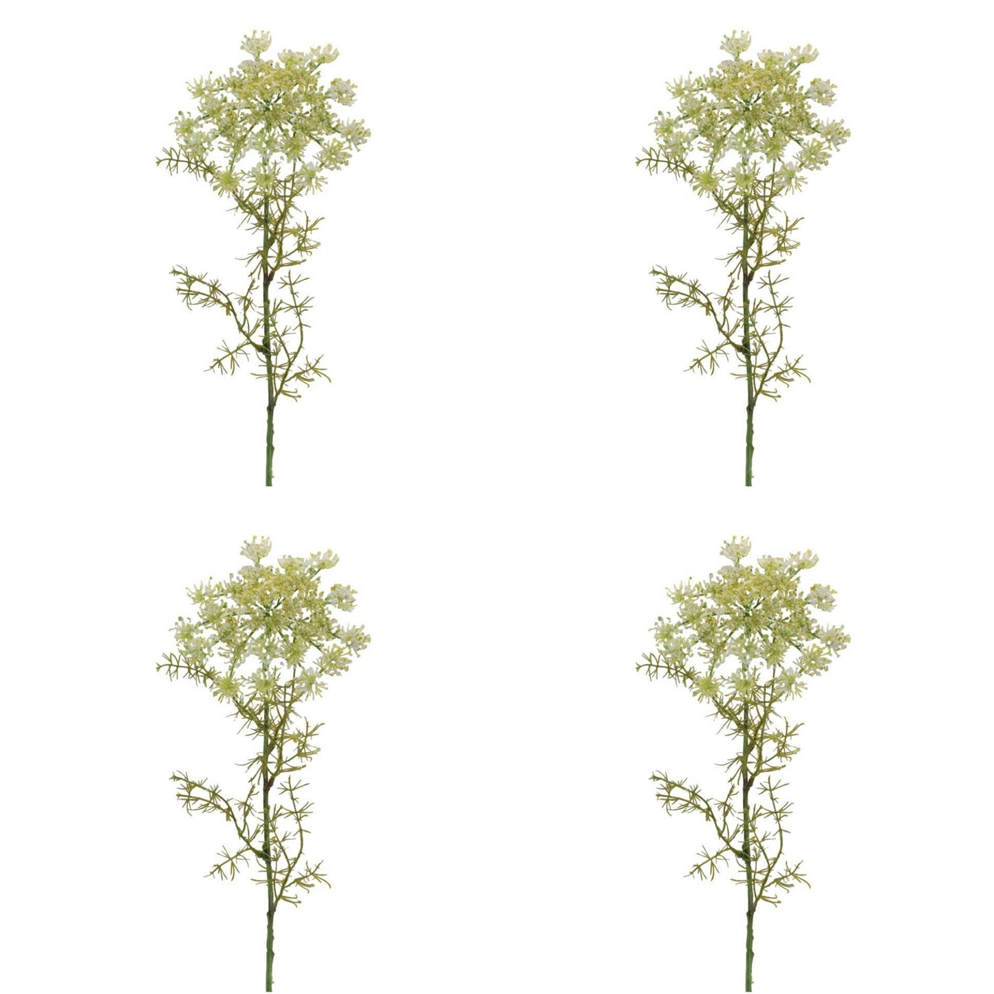 Queen Anne’s Lace Floral Stem (Set of 4) alternate view 4