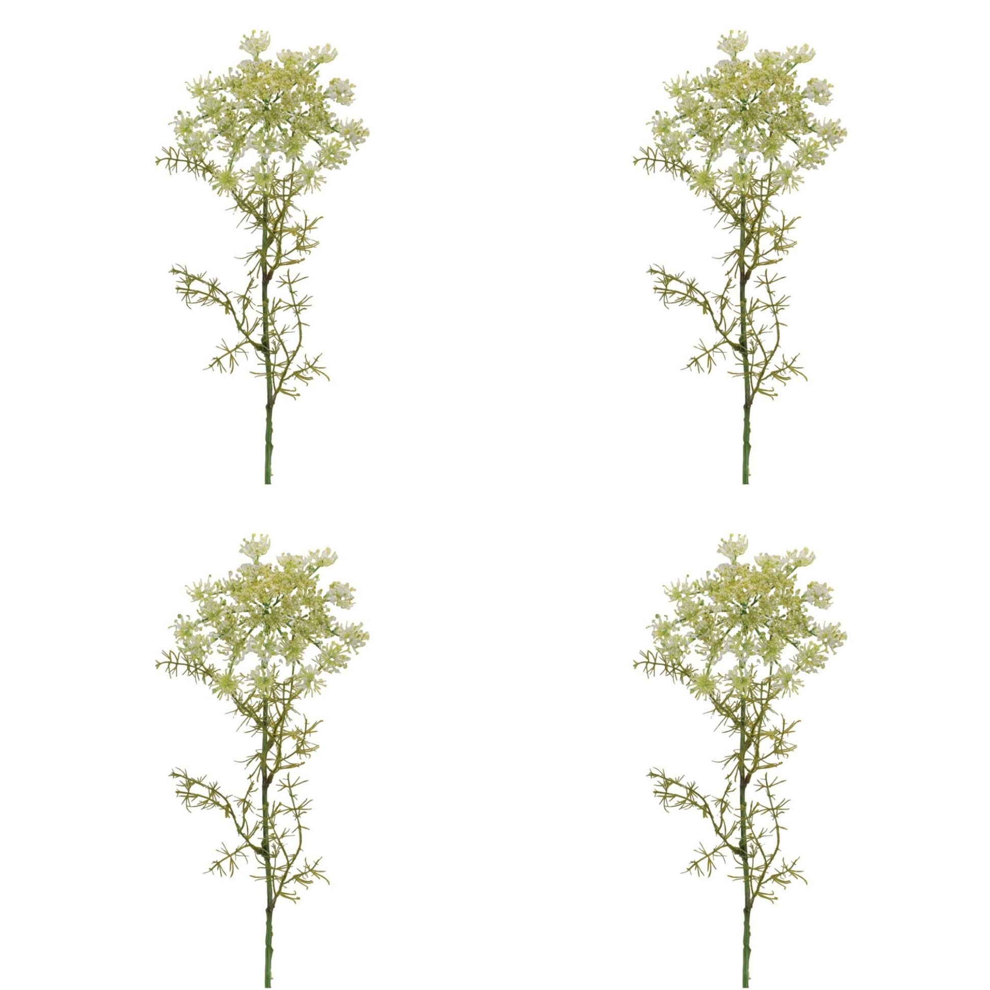 Queen Anne’s Lace Floral Stem (Set of 4) alternate view 4