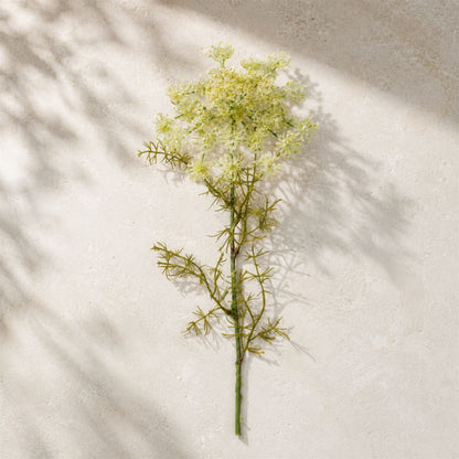 Queen Anne’s Lace Floral Stem (Set of 4) alternate view 2