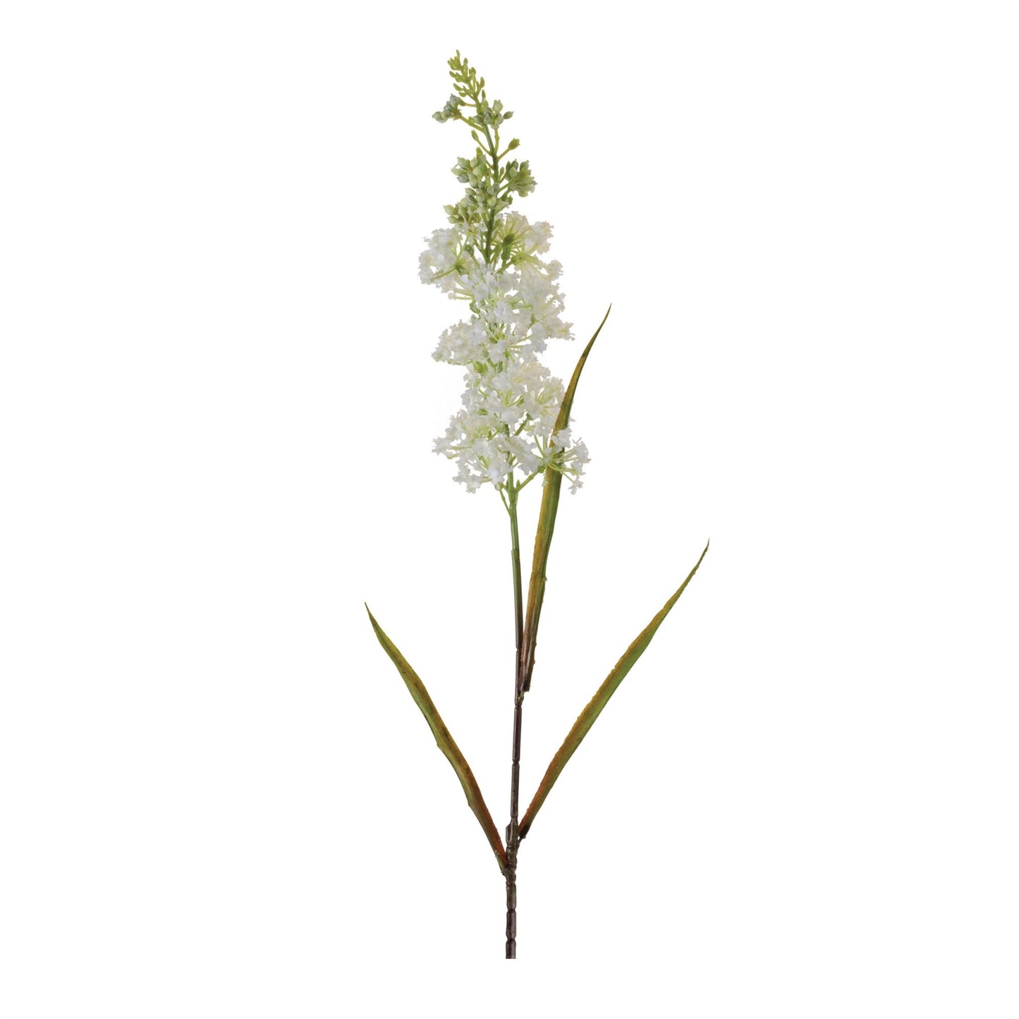 Astilbe Floral Stem (Set of 4)
