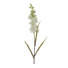 Astilbe Floral Stem (Set of 4)
