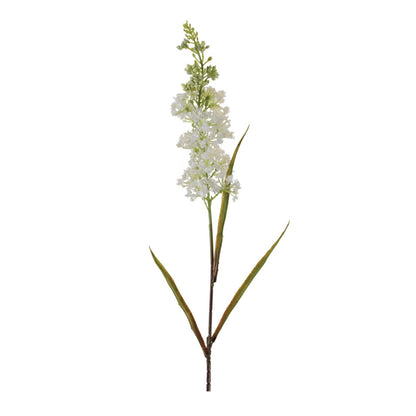 Astilbe Floral Stem (Set of 4)