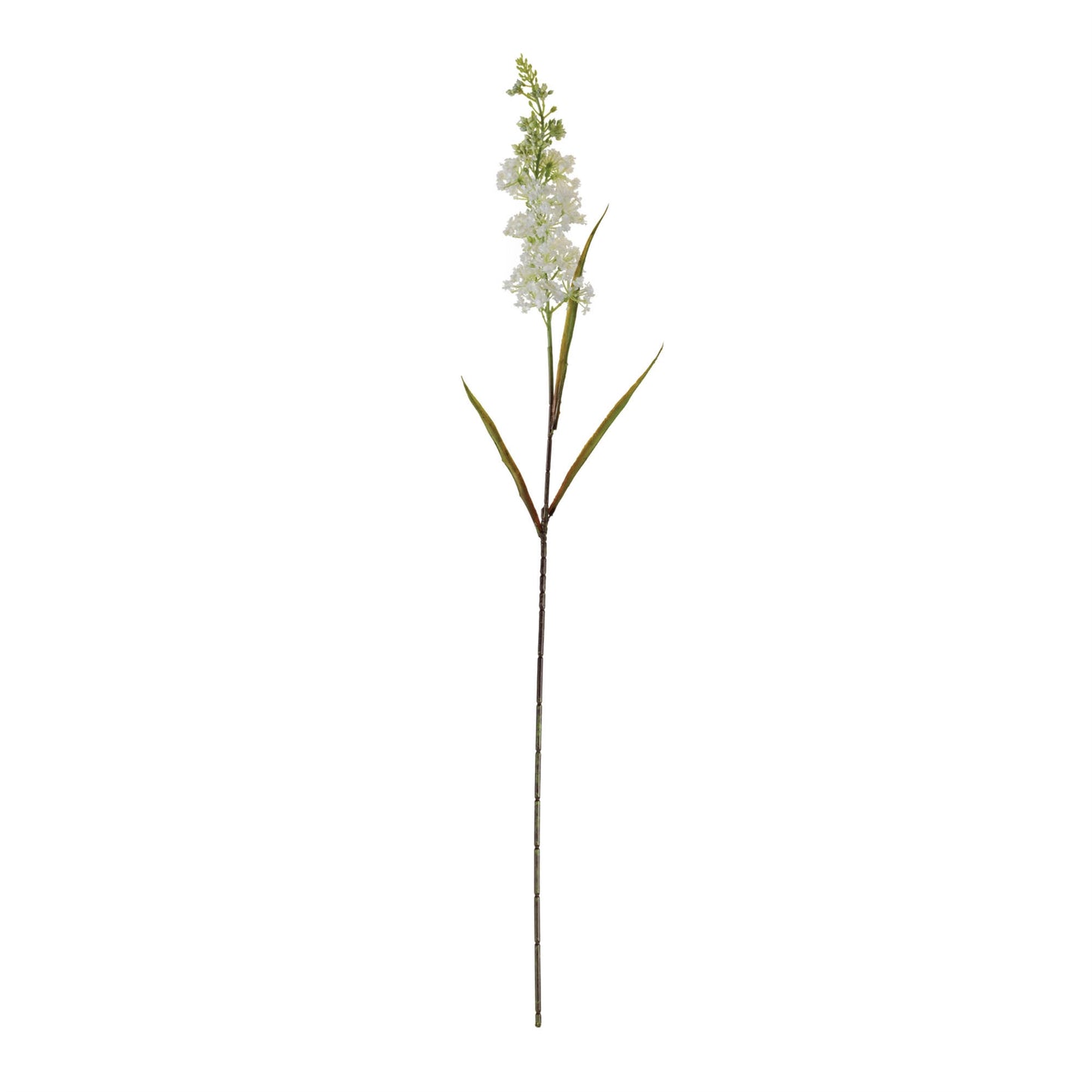 Astilbe Floral Stem (Set of 4) alternate view 2