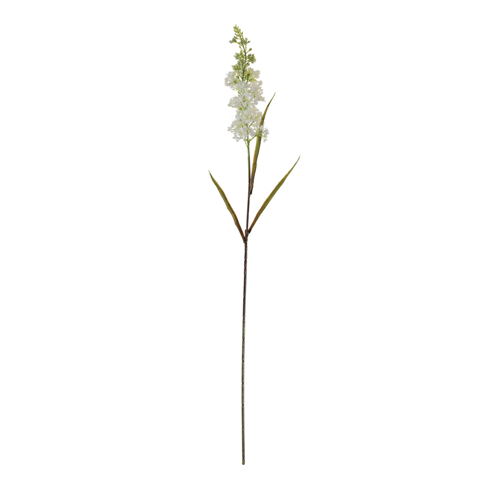 Astilbe Floral Stem (Set of 4) alternate view 2