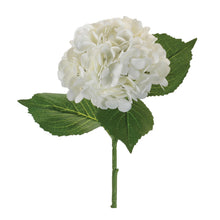 Hydrangea Flower Stem (Set of 4)