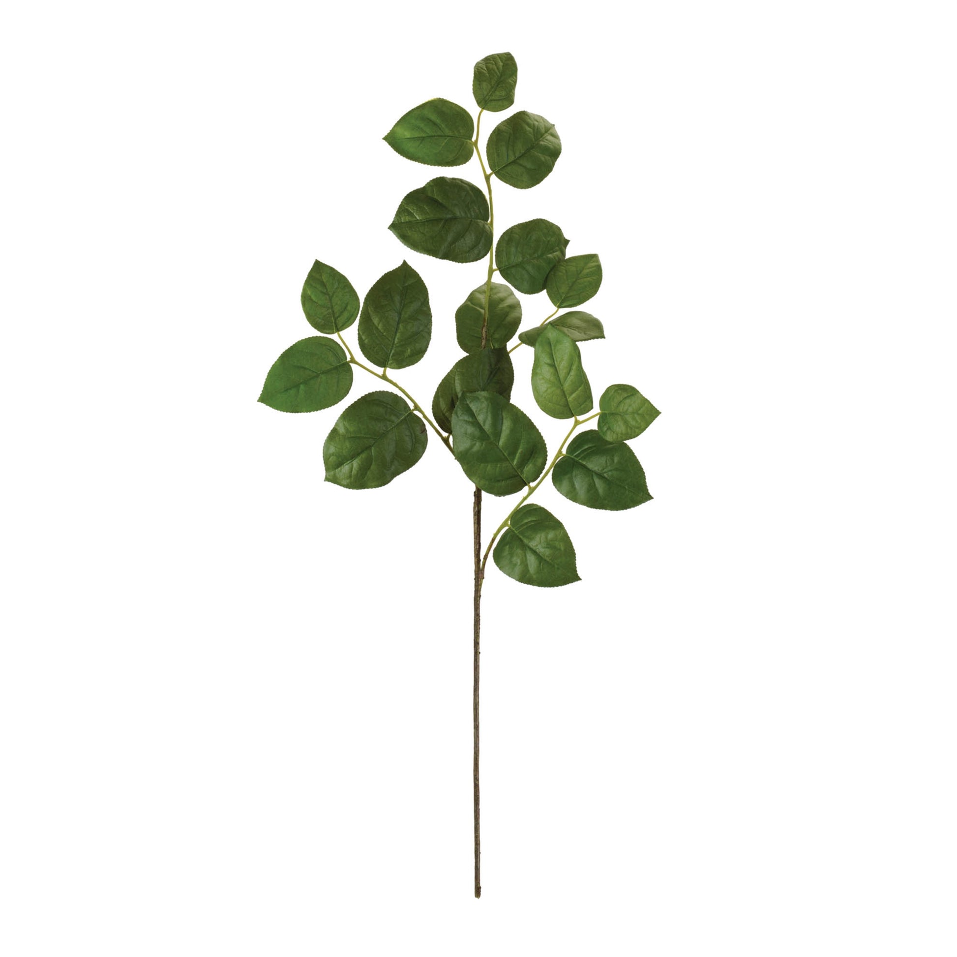 Foliage Leaf Spray (Set of 6) alternate view 2