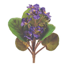 African Violet Flower Bush (Set of 4)
