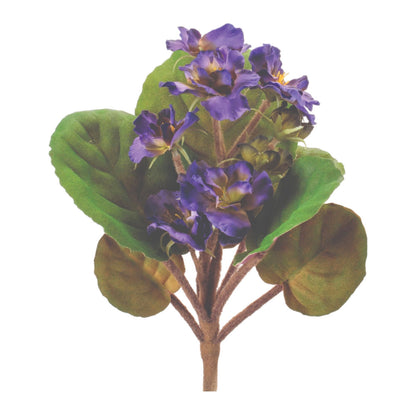 African Violet Flower Bush (Set of 4)