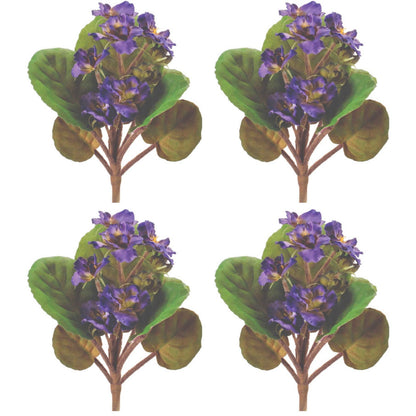 African Violet Flower Bush (Set of 4) alternate view 4