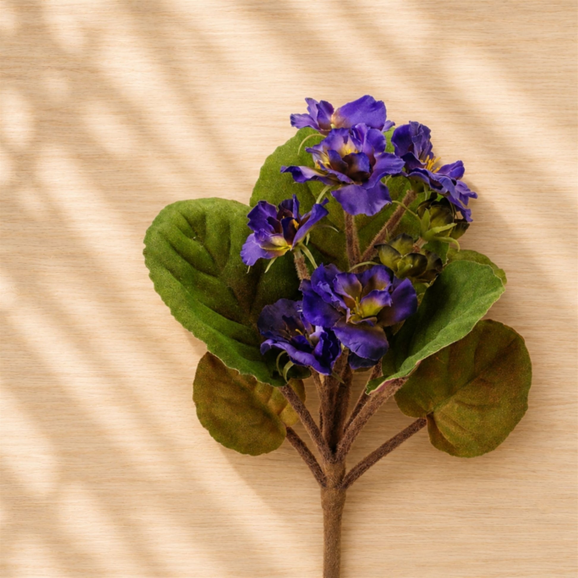 African Violet Flower Bush (Set of 4) alternate view 2