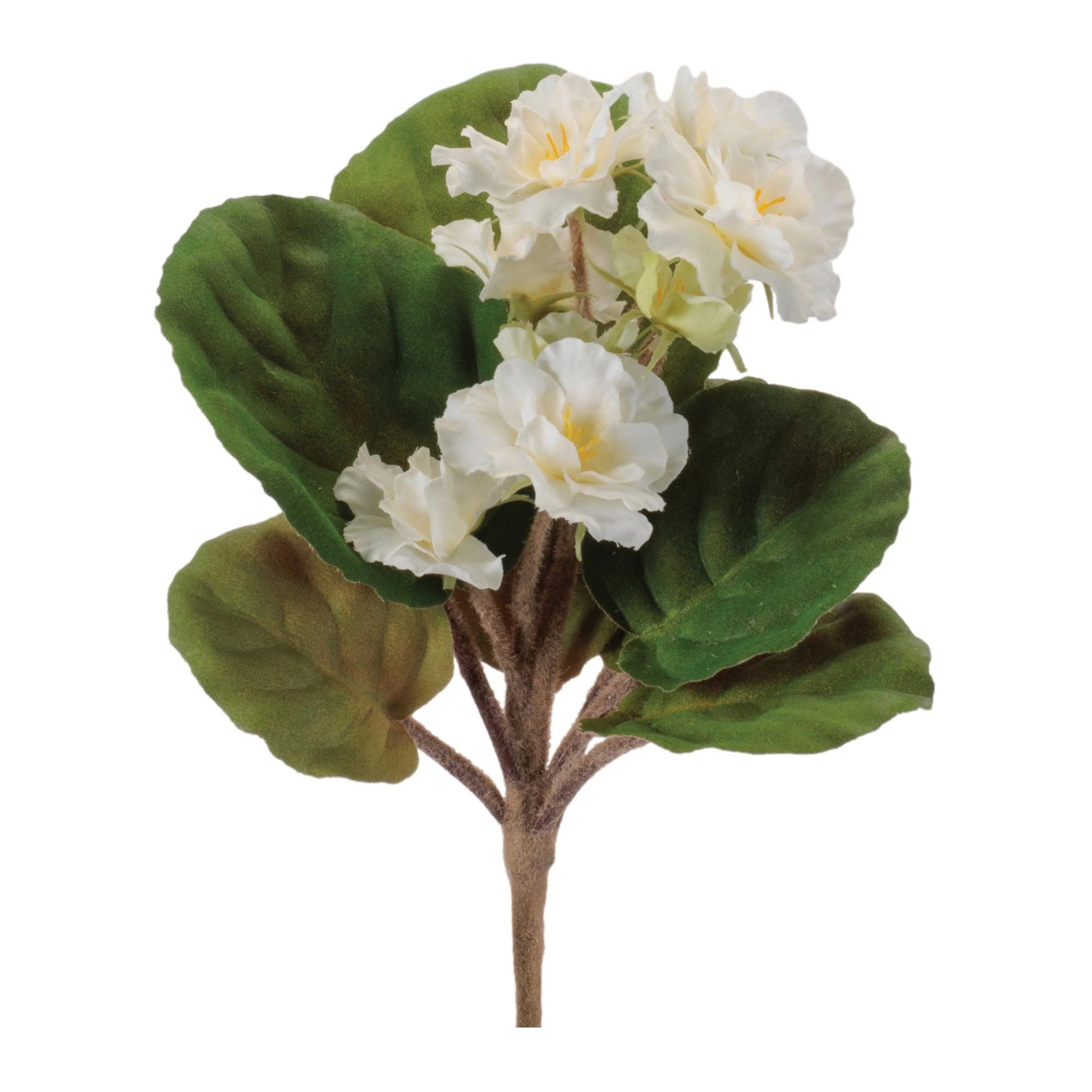 African Violet Flower Bush (Set of 4)