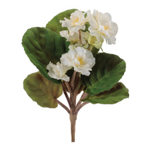 African Violet Flower Bush (Set of 4)