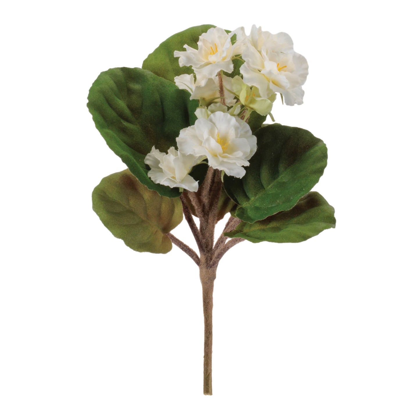 African Violet Flower Bush (Set of 4) alternate view 3