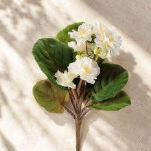 African Violet Flower Bush (Set of 4) alternate view 2