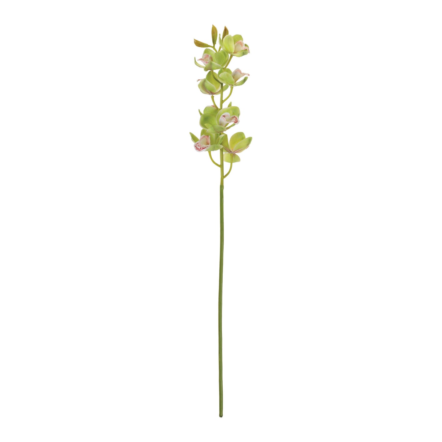 Cymbidium Orchid Flower Stem (Set of 2) alternate view 2