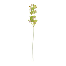 Cymbidium Orchid Flower Stem (Set of 2) alternate view 2