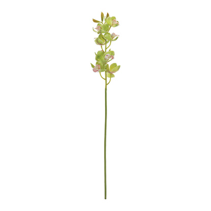 Cymbidium Orchid Flower Stem (Set of 2) alternate view 2