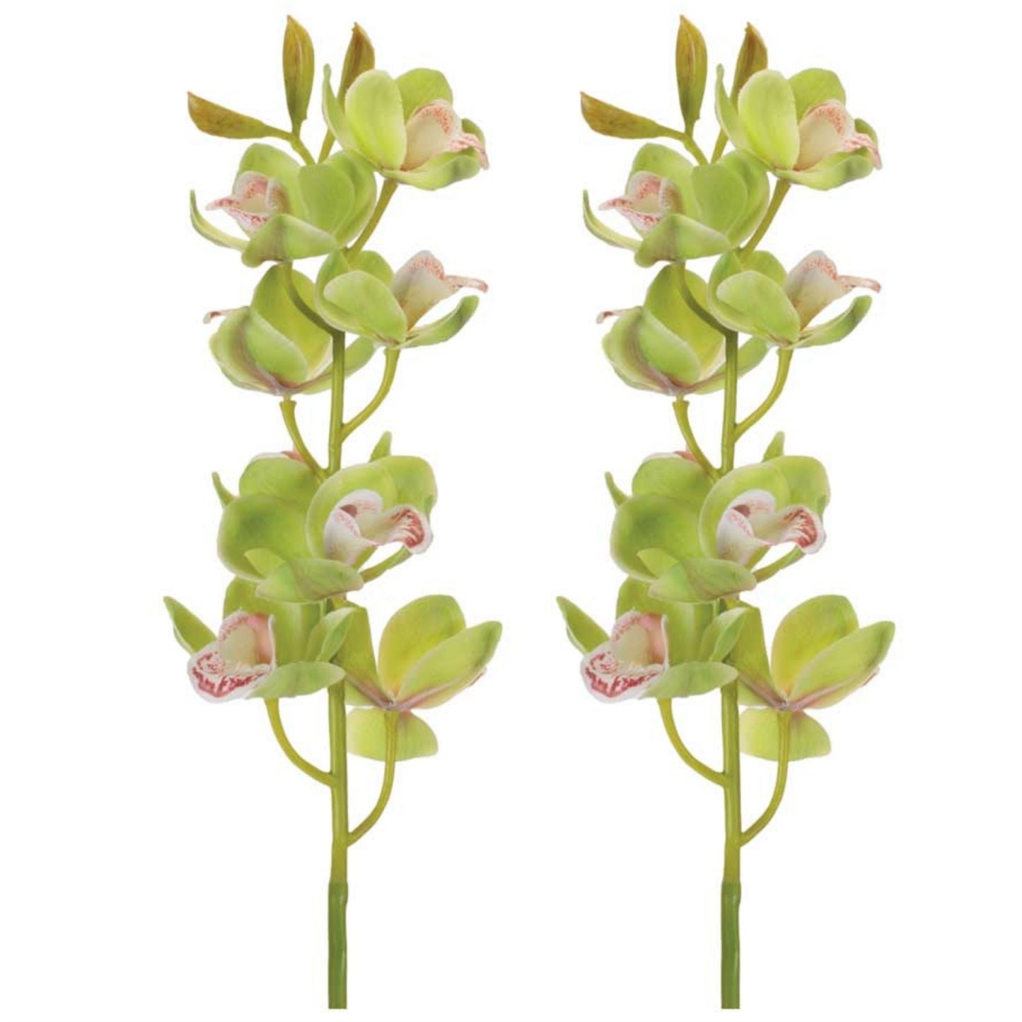Cymbidium Orchid Flower Stem (Set of 2) alternate view 3