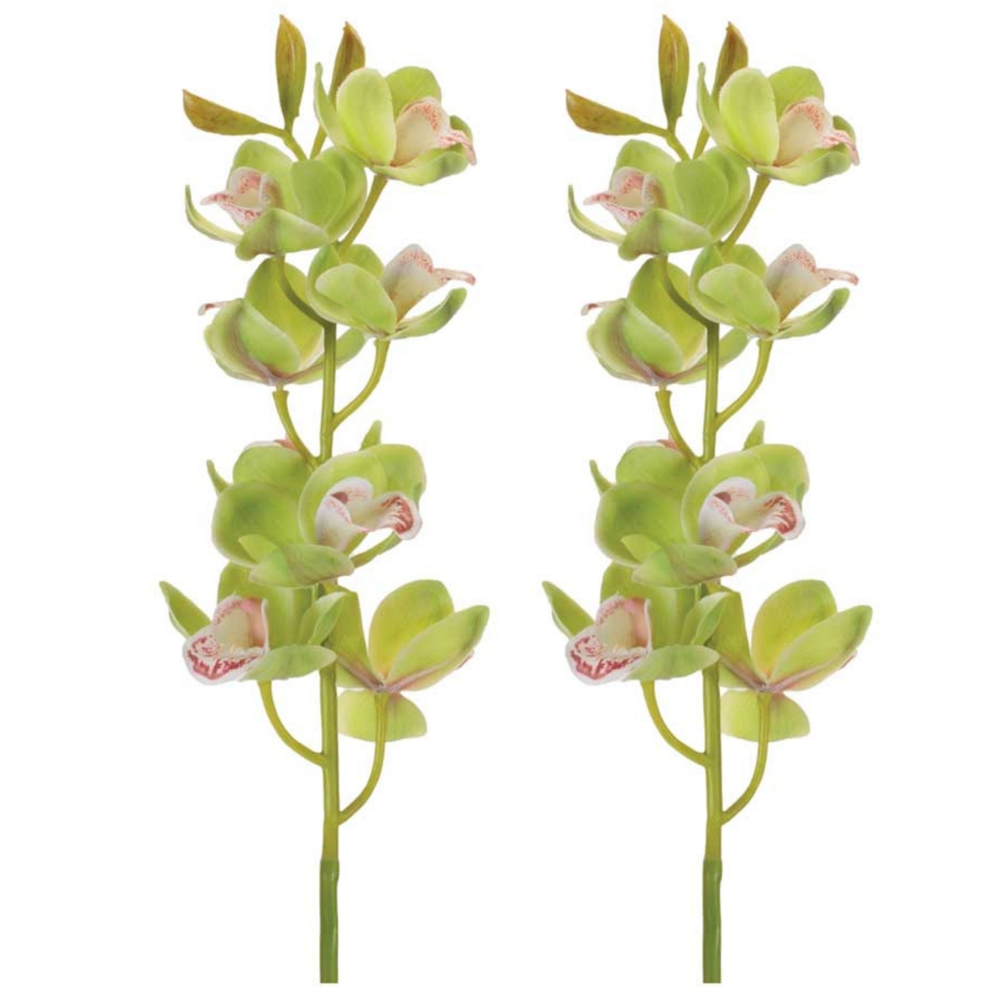 Cymbidium Orchid Flower Stem (Set of 2) alternate view 3