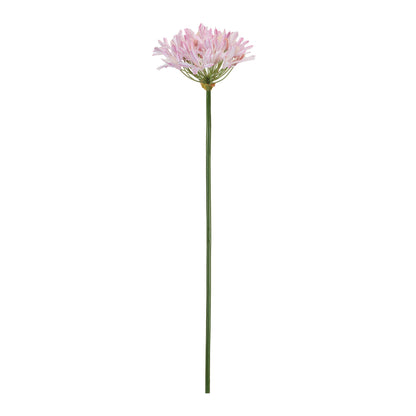 Agapanthus Flower Stem (Set of 2) alternate view 3