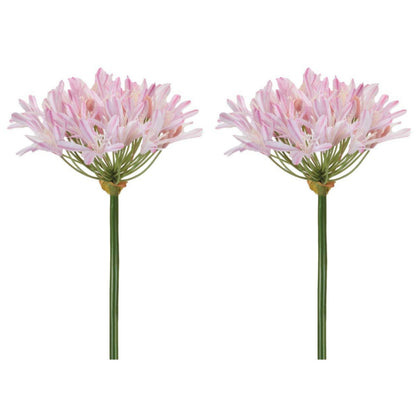 Agapanthus Flower Stem (Set of 2) alternate view 4