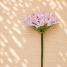 Agapanthus Flower Stem (Set of 2) alternate view 2