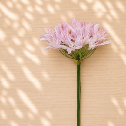 Agapanthus Flower Stem (Set of 2) alternate view 2