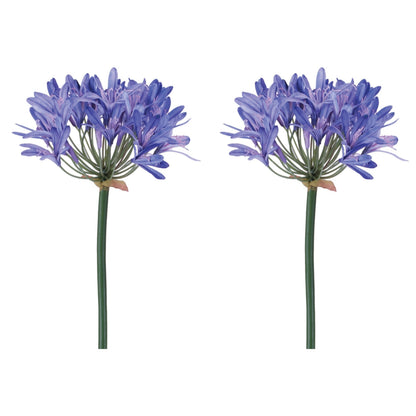 Agapanthus Flower Stem (Set of 2) alternate view 4