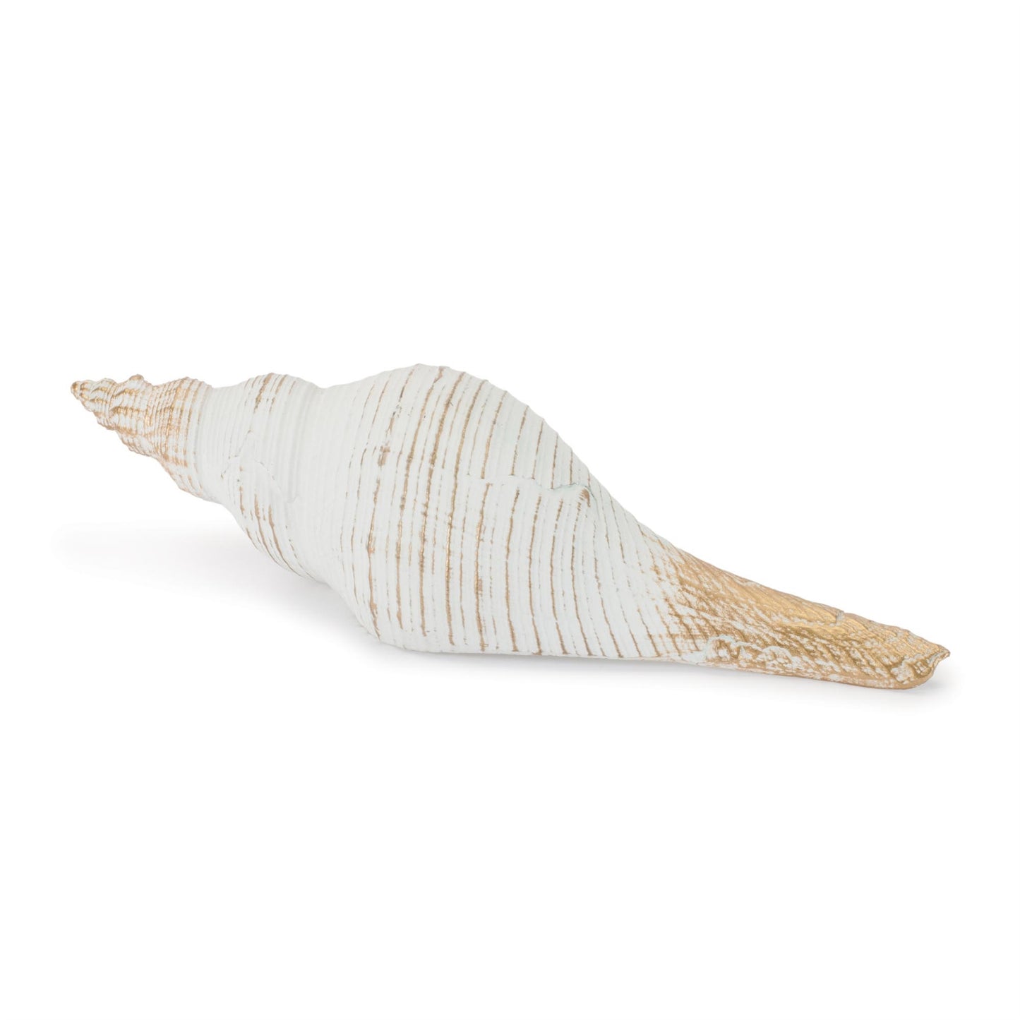 Whitewashed Coastal Seashell Décor (Set of 2)