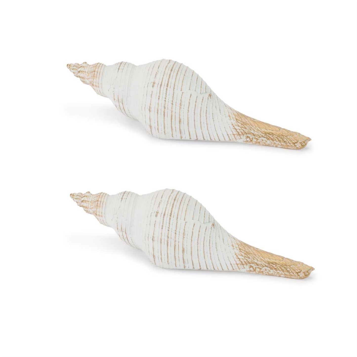 Whitewashed Coastal Seashell Décor (Set of 2) alternate view 2