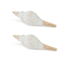Whitewashed Coastal Seashell Décor (Set of 2) alternate view 2