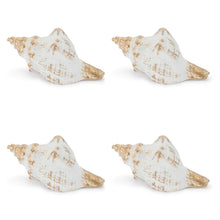 Whitewashed Coastal Seashell Décor (Set of 4) alternate view 2