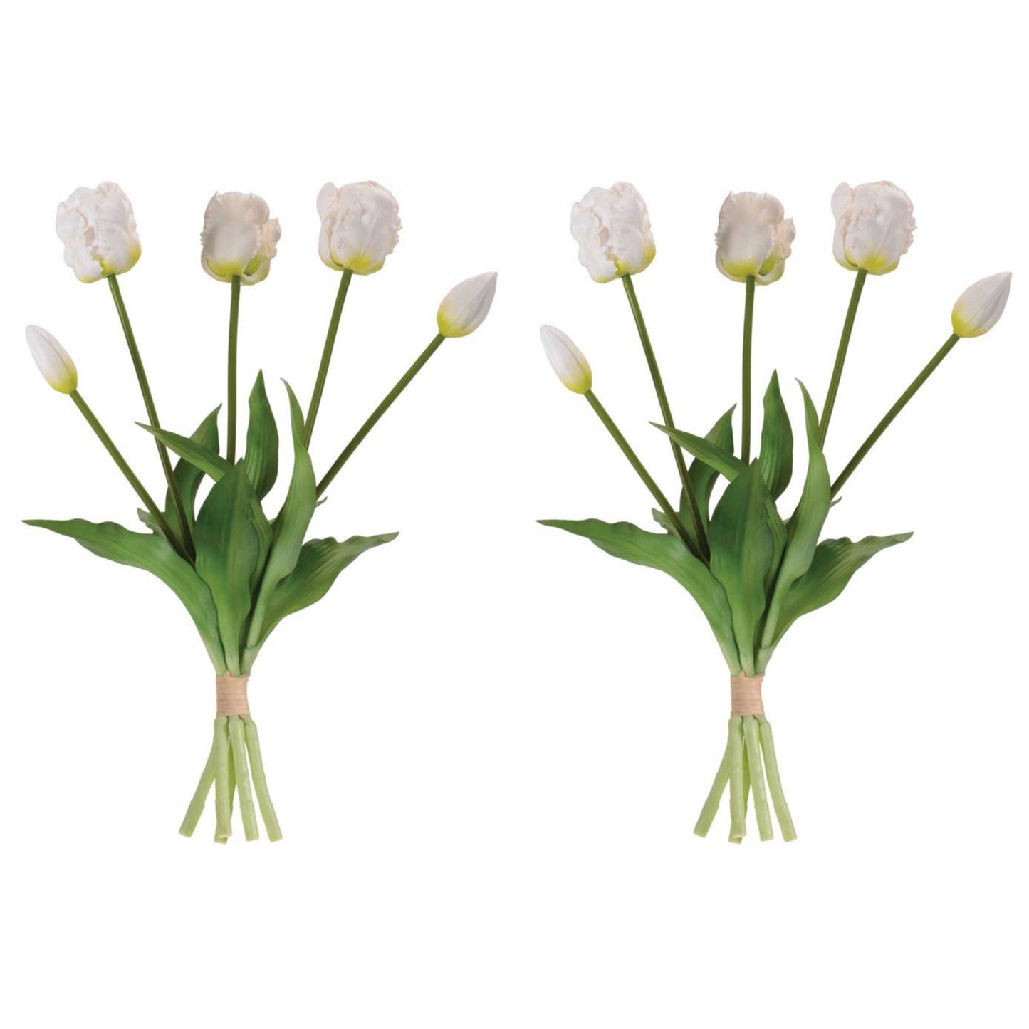 Tulip Floral Bundle (Set of 2) alternate view 2