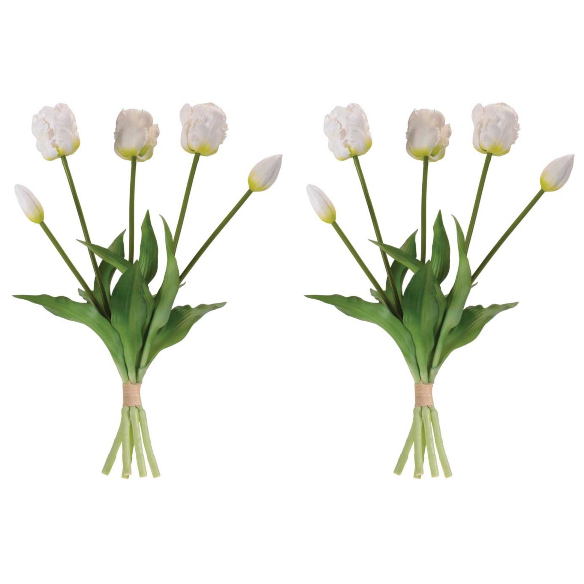 Tulip Floral Bundle (Set of 2) alternate view 2