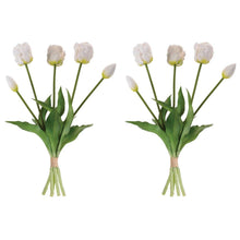 Tulip Floral Bundle (Set of 2) alternate view 2