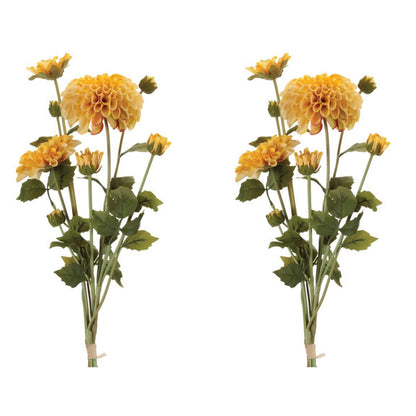 Zinnia Flower Bundle (Set of 2) alternate view 4
