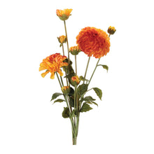 Zinnia Flower Bundle (Set of 2)