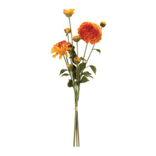 Zinnia Flower Bundle (Set of 2) alternate view 2