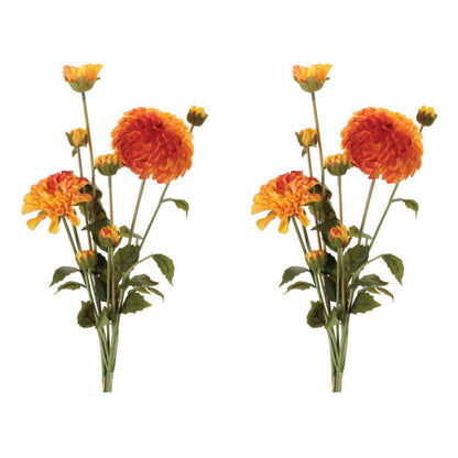 Zinnia Flower Bundle (Set of 2) alternate view 3