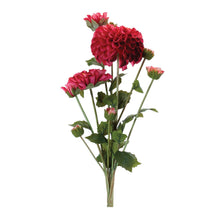 Zinnia Flower Bundle (Set of 2)
