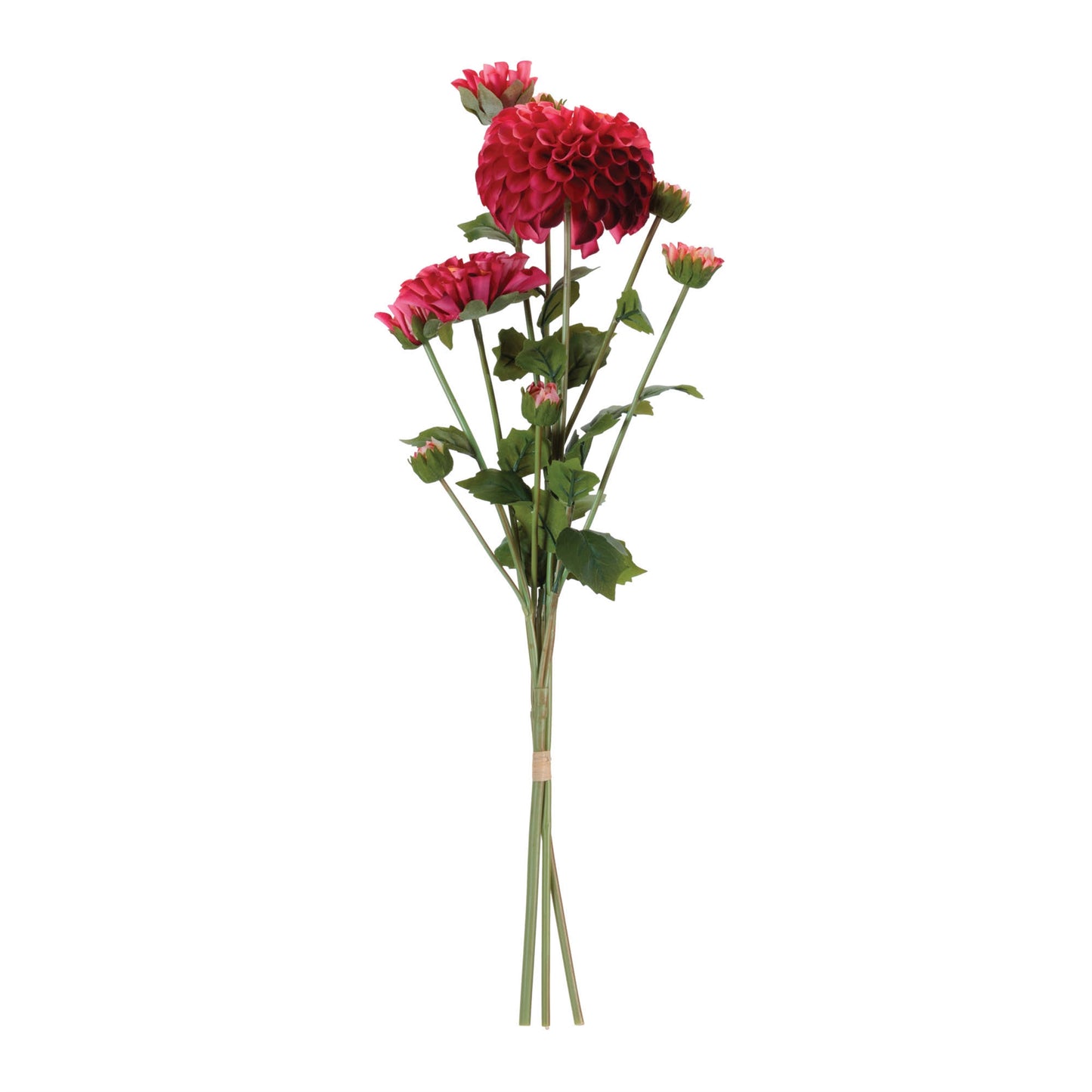 Zinnia Flower Bundle (Set of 2) alternate view 2