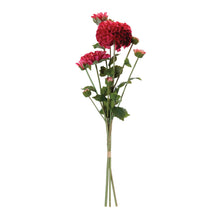 Zinnia Flower Bundle (Set of 2) alternate view 2