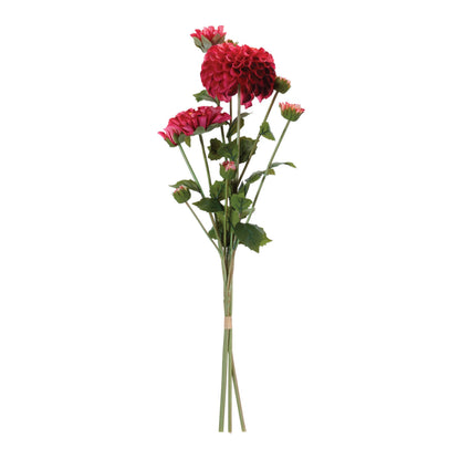 Zinnia Flower Bundle (Set of 2) alternate view 2
