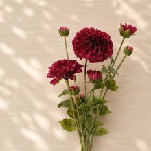 Zinnia Flower Bundle (Set of 2) alternate view 2