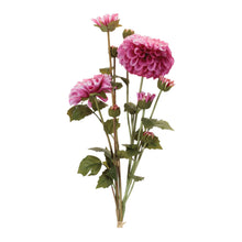Zinnia Flower Bundle (Set of 2)