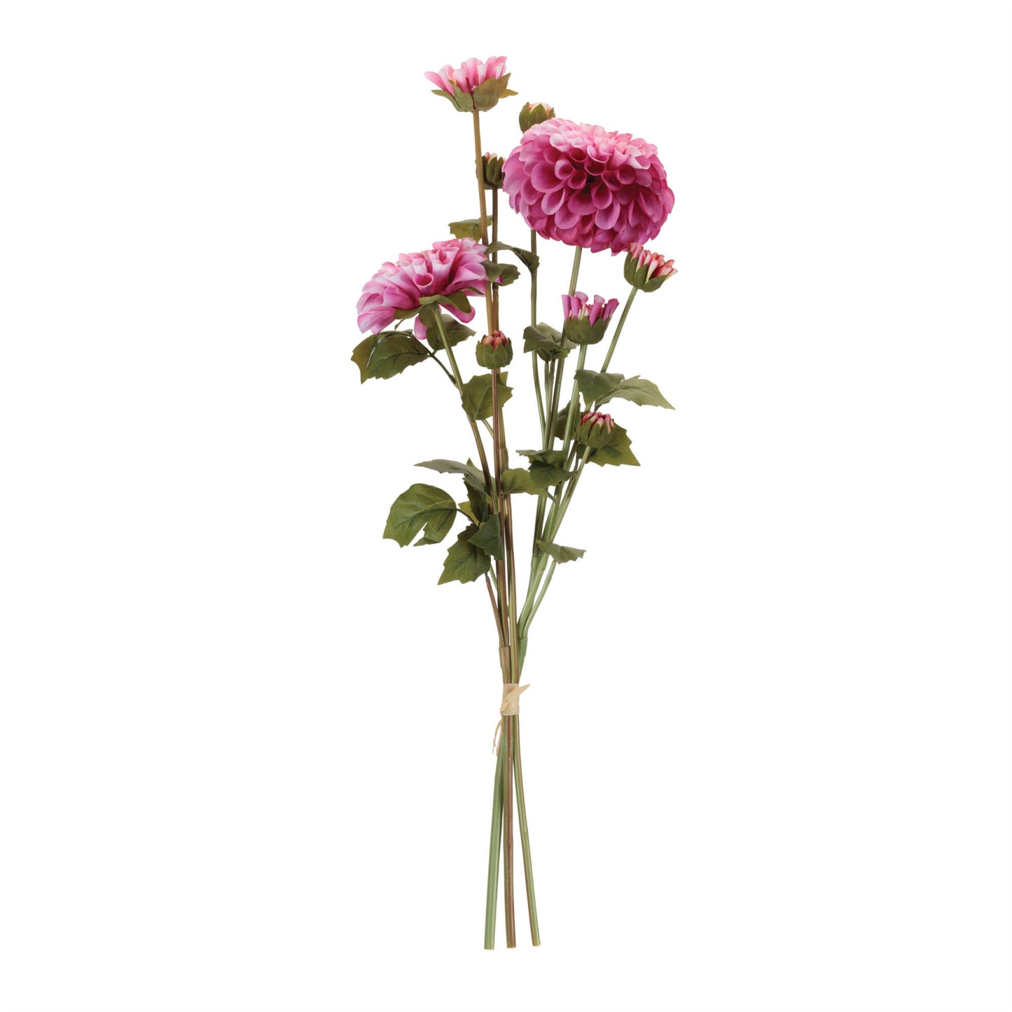 Zinnia Flower Bundle (Set of 2) alternate view 3
