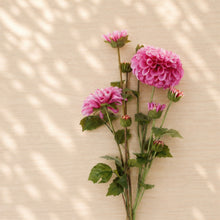 Zinnia Flower Bundle (Set of 2) alternate view 2