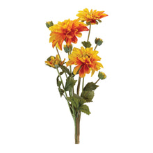 Dahlia Flower Bundle (Set of 2)