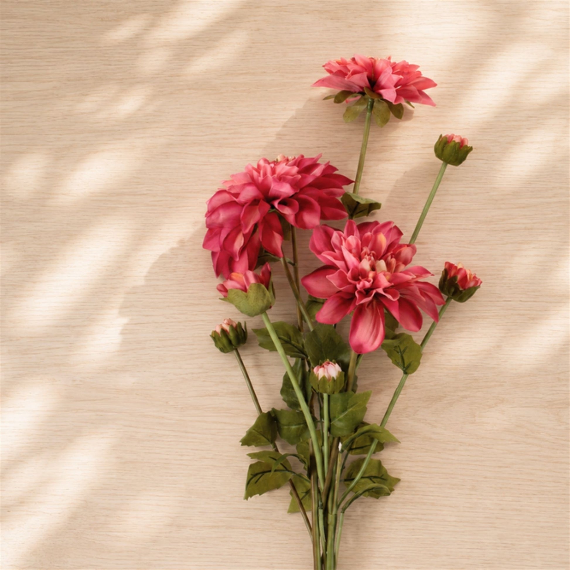 Dahlia Flower Bundle (Set of 2) alternate view 2