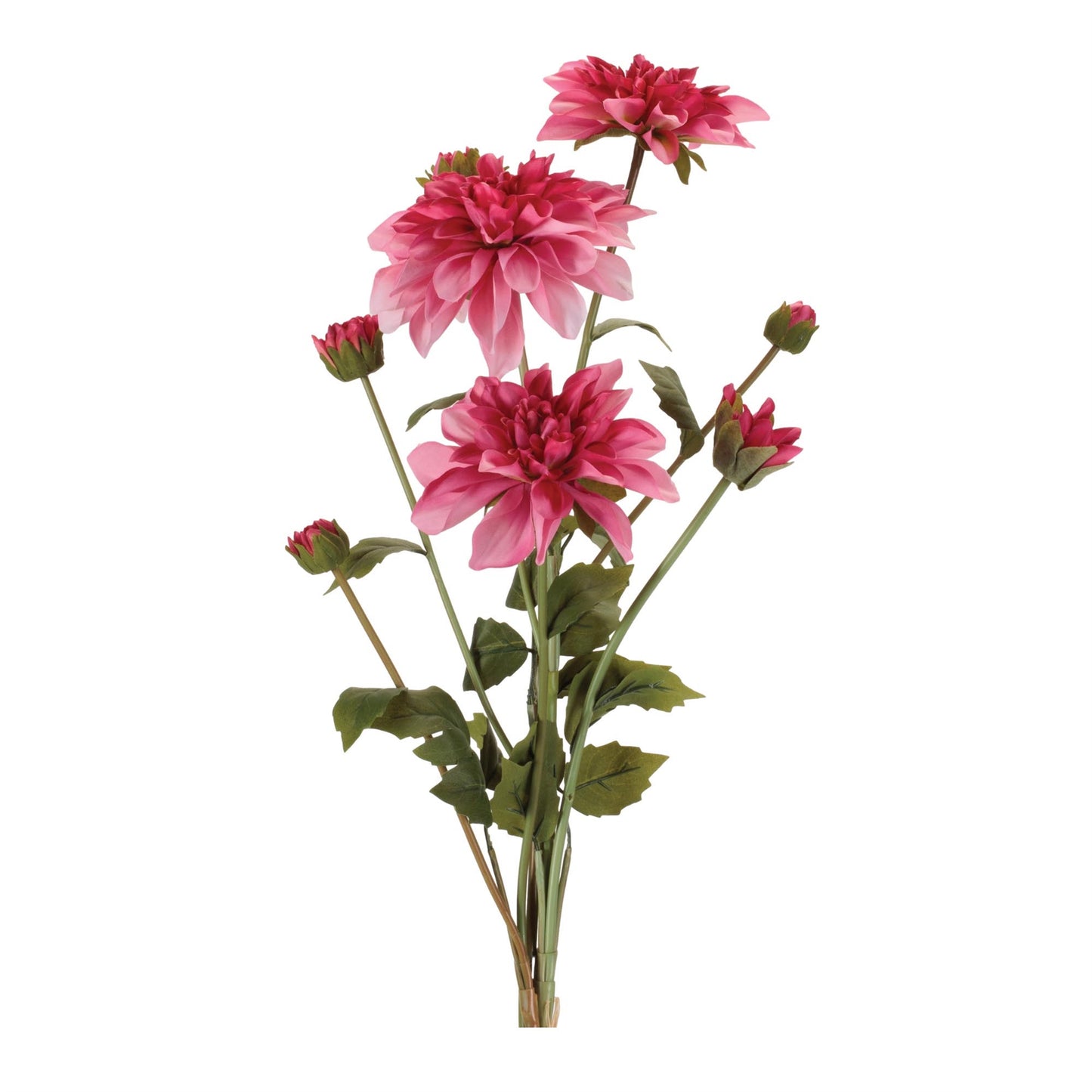 Dahlia Flower Bundle (Set of 2)